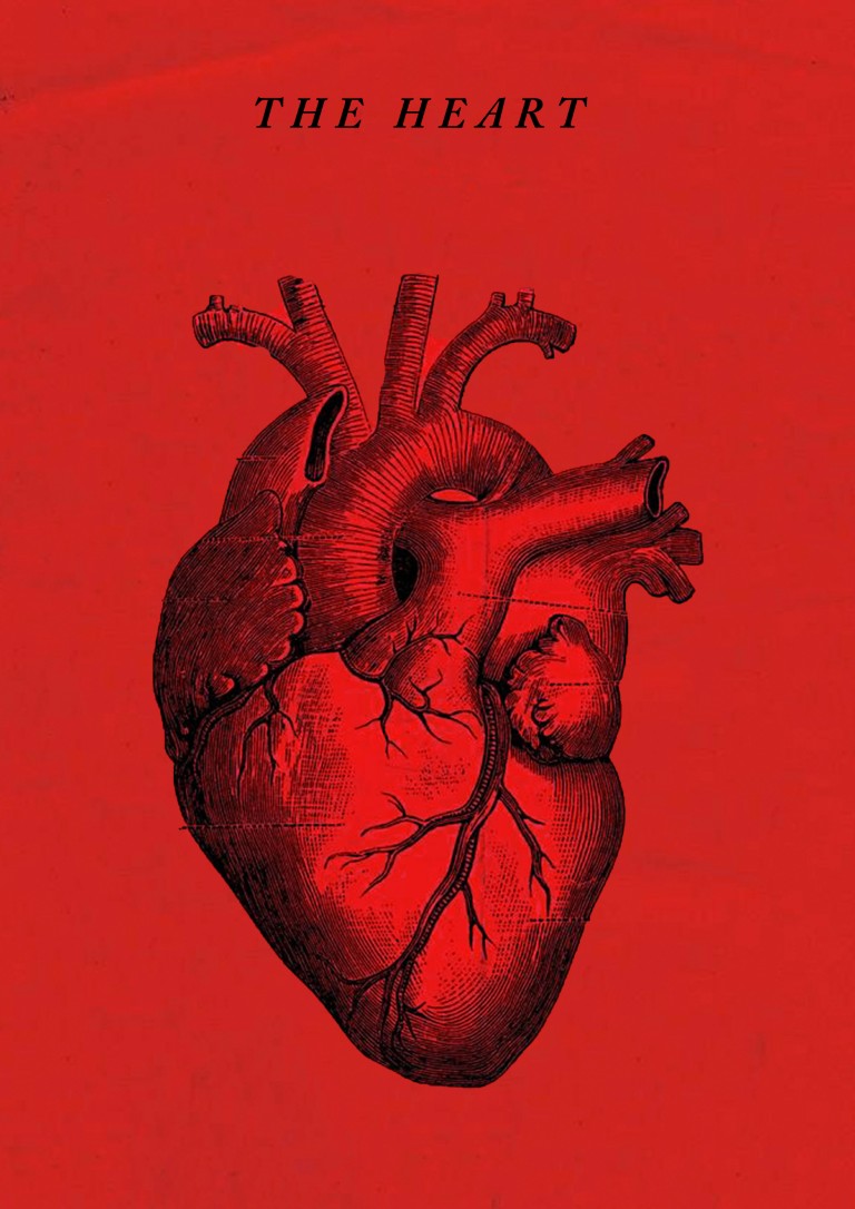 The Heart