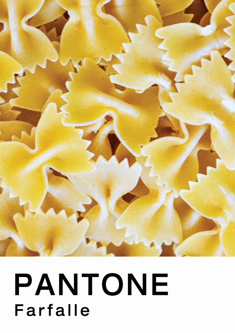 Farfalle Pantone