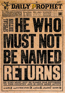 Dark Lord Returns - Harry Potter Poster