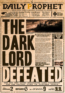 Dark Lords Defeat - Harry Potter Poster