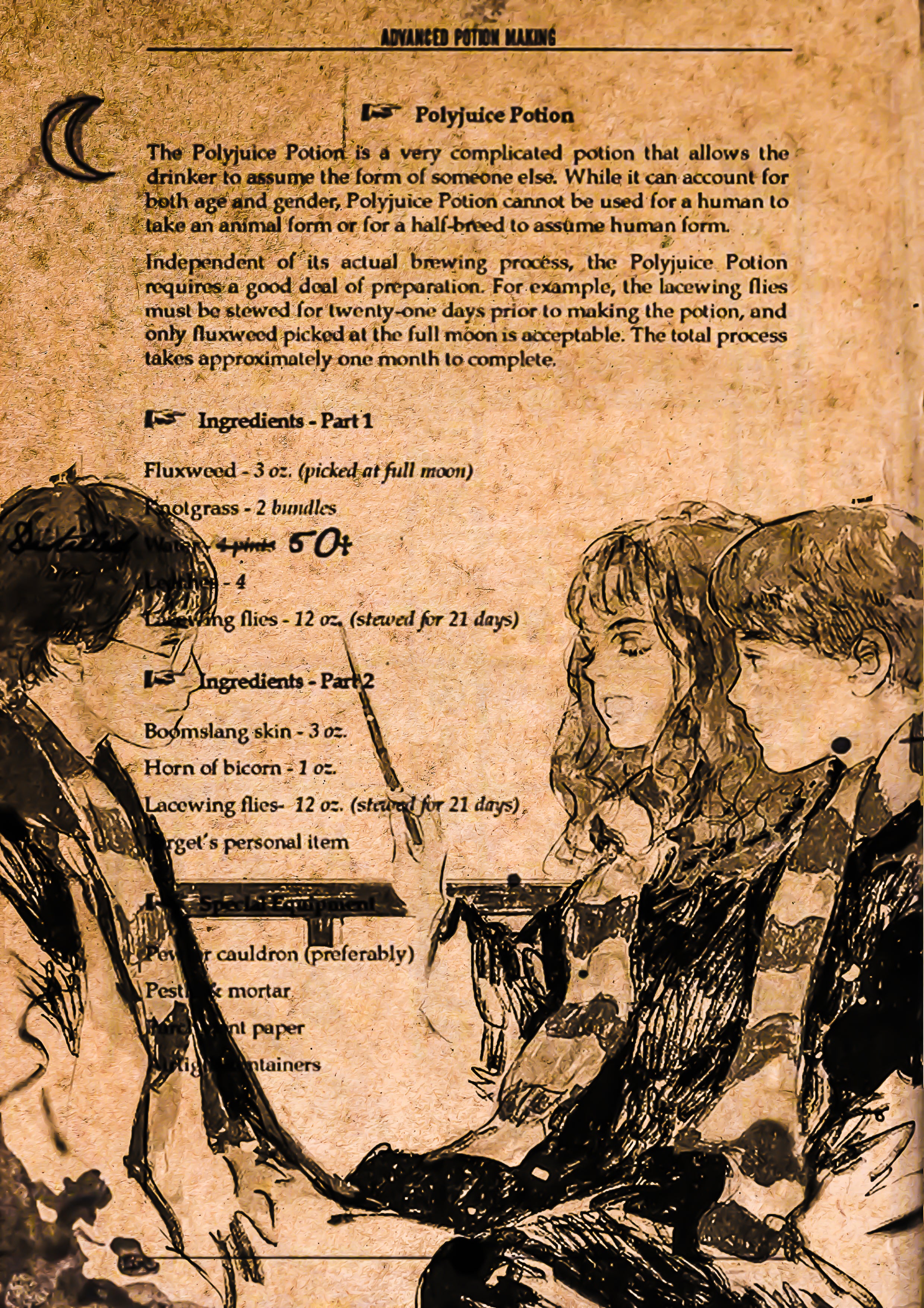 Friends & Potion - Harry Potter Poster