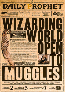 Muggles Meet Magic - Harry Potter Poster