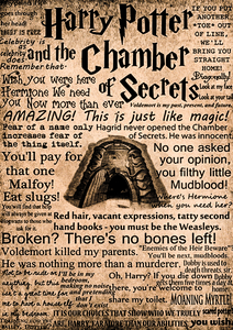 Secrets of the Chamber - Harry Potter Poster