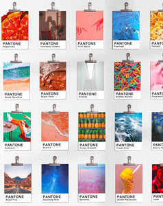 Pantones of Life - Clip Kit Posters