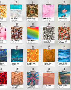 Pantones of Life - Clip Kit Posters