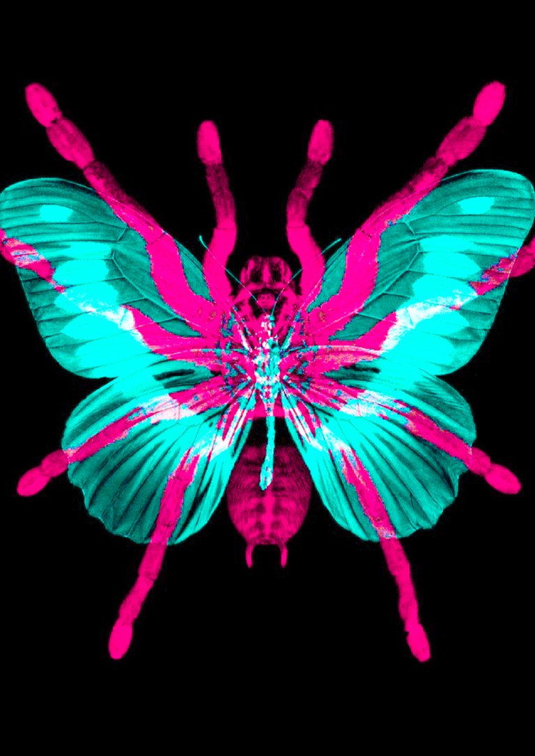 Predator Wings