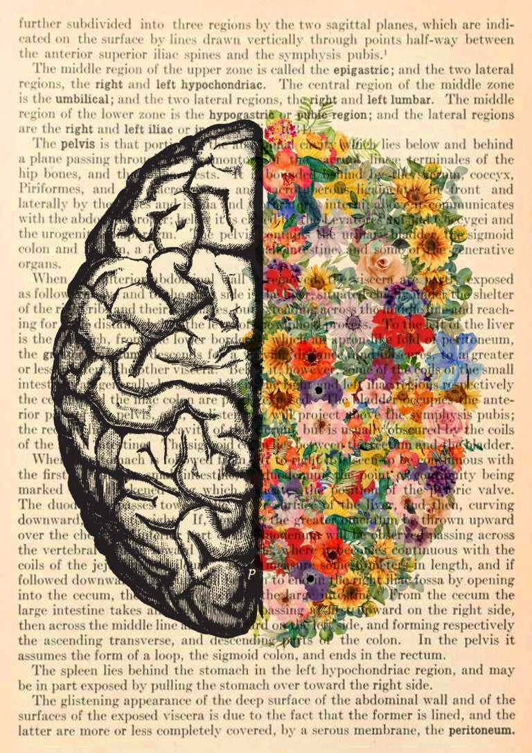 Brain Floral Anatomy