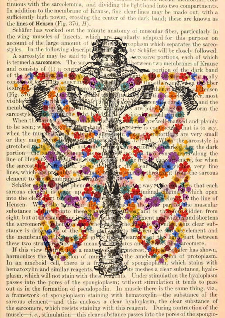 Ribcage & Spine Floral Anatomy