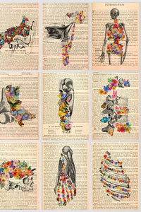 Anatomy Art- Collectibles Posters