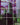 Block kit 9 A4 posters of a a city with purple skies
